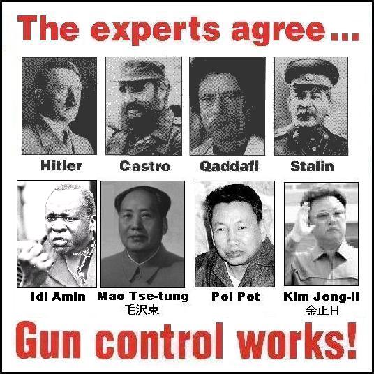Image result for nazi gun control